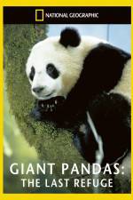 Watch National Geographic Giant Pandas The Last Refuge Zmovies