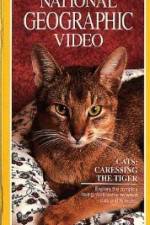 Watch Cats Caressing the Tiger Zmovies