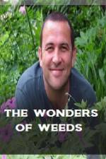 Watch The Wonder Of Weeds Zmovies