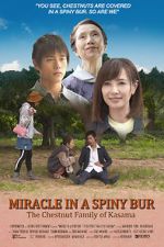 Watch Miracle in Kasama Zmovies