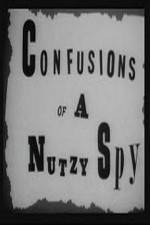 Watch Confusions of a Nutzy Spy Zmovies