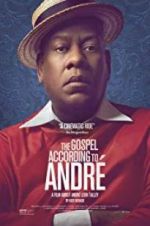 Watch The Gospel According to Andr Zmovies
