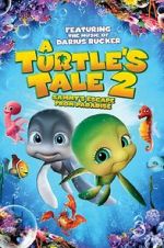 Watch A Turtle\'s Tale 2: Sammy\'s Escape from Paradise Zmovies
