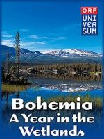 Watch Bohemia: A Year in the Wetlands Zmovies