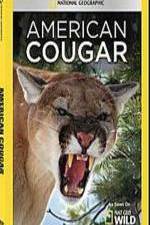 Watch National Geographic - American Cougar Zmovies