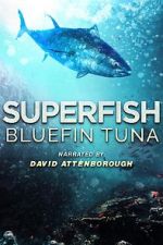 Watch Superfish Bluefin Tuna Zmovies