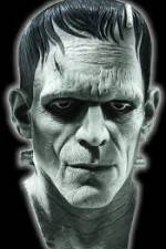 Watch Frankenstein Birth of a Monster Zmovies