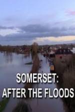 Watch Somerset: After the Floods Zmovies