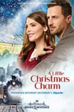 Watch A Little Christmas Charm Zmovies
