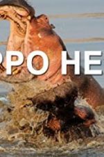 Watch Hippo Hell Zmovies