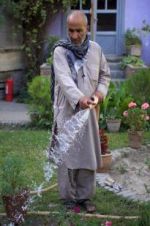 Watch The Gardeners of Kabul Zmovies