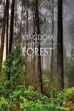 Watch National Geographic Kingdom of the Forest Zmovies
