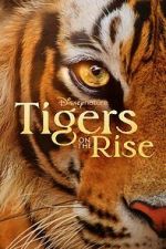 Watch Tigers on the Rise Online Zmovies