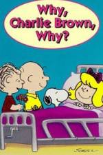 Watch Why Charlie Brown Why Zmovies