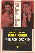 Watch The Black Orchid Zmovies