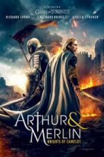 Watch Arthur & Merlin: Knights of Camelot Zmovies