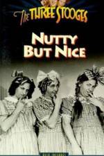 Watch Nutty But Nice Zmovies