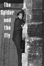 Watch The Spider and the Fly Zmovies