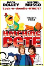 Watch Hatching Pete Zmovies