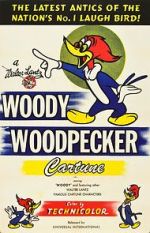 Watch The Woody Woodpecker Polka Zmovies