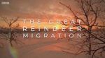Watch All Aboard! The Great Reindeer Migration Zmovies