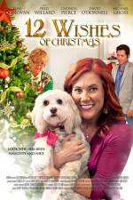 Watch 12 Wishes of Christmas Zmovies