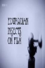 Watch Edwardian Insects on Film Zmovies