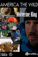 Watch National Geographic Wild America the Wild Wolverine King Zmovies