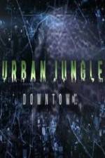 Watch National Geographic Wild Urban Jungle Downtown Zmovies