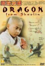 Watch Long zai Shaolin Zmovies
