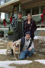 Watch Hallmark Hall of Fame A Dog Named Christmas Zmovies