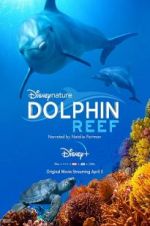 Watch Dolphin Reef Zmovies