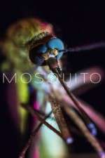 Watch Mosquito Zmovies