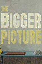 Watch The Bigger Picture Zmovies