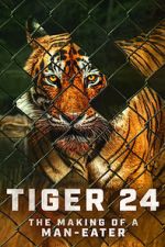 Watch Tiger 24 Zmovies