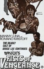 Watch Bruce\'s Fists of Vengeance Zmovies