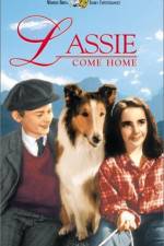 Watch Lassie Come Home Zmovies