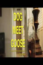 Watch Dog Meet Goose Zmovies
