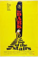 Watch The Dark at the Top of the Stairs Zmovies