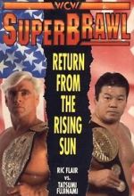 Watch WCW SuperBrawl I Zmovies