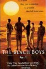 Watch The Beach Boys An American Family Zmovies