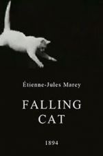 Watch Falling Cat Zmovies