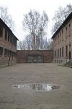 Watch Made in Auschwitz: The Untold Story of Block 10 Zmovies