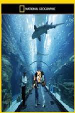 Watch National Geographic Megastructures Dubai Mega Mall Zmovies