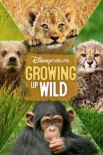Watch Growing Up Wild Zmovies