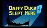 Watch Daffy Duck Slept Here (Short 1948) Zmovies