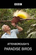 Watch Attenborough's Paradise Birds Zmovies