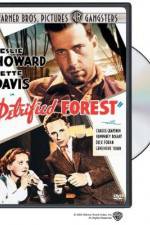 Watch The Petrified Forest Zmovies