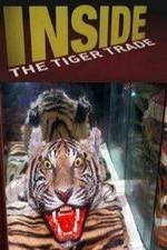 Watch Inside: The Tiger Trade Zmovies