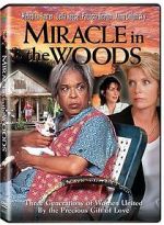 Watch Miracle in the Woods Zmovies